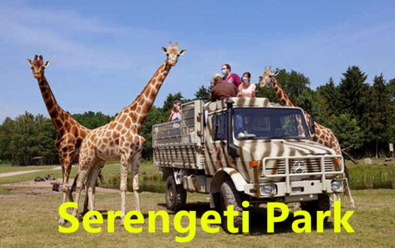德国Serengeti Park野生动物园144欧，包门票2晚4星住宿含早晚餐