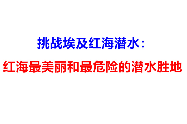 挑战埃及红海潜水：红海最美丽和最危险的潜水胜地